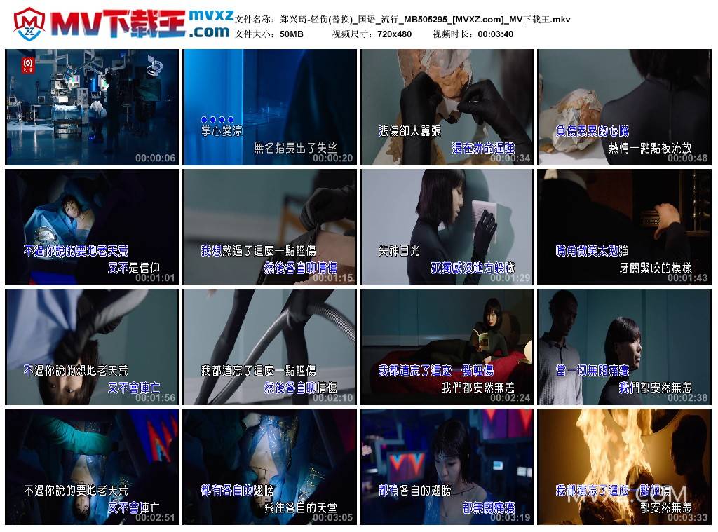 郑兴琦-轻伤(替换)_国语_流行_MB505295